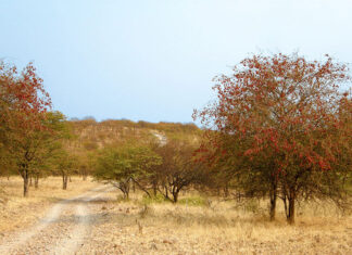 Namibia