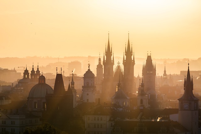Jakie są cele polityki społecznej?